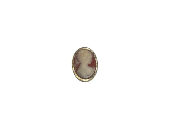 Vintage Womenβs Gold Oval Cameo Brooch Handcrafted Resin/Metal Portrait Pin Jewelry