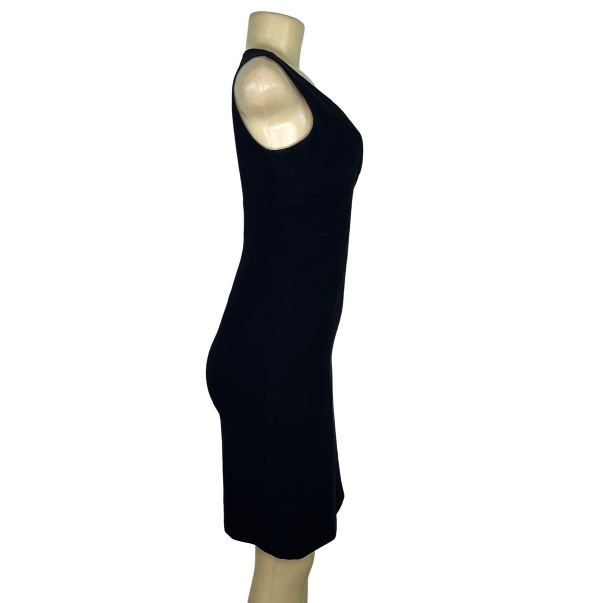 Ann Taylor Petites Black Sleeveless Sheath Dress V-Neck Back Zip Size 2P