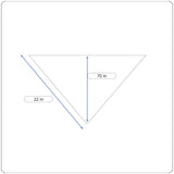 LDS Sheila Paisley Multicolor Shawl With Fringe Detailing