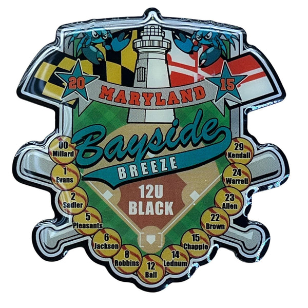 Maryland Bayside Breeze 12U Black 2015 Baseball Team Pin With Dual Backing