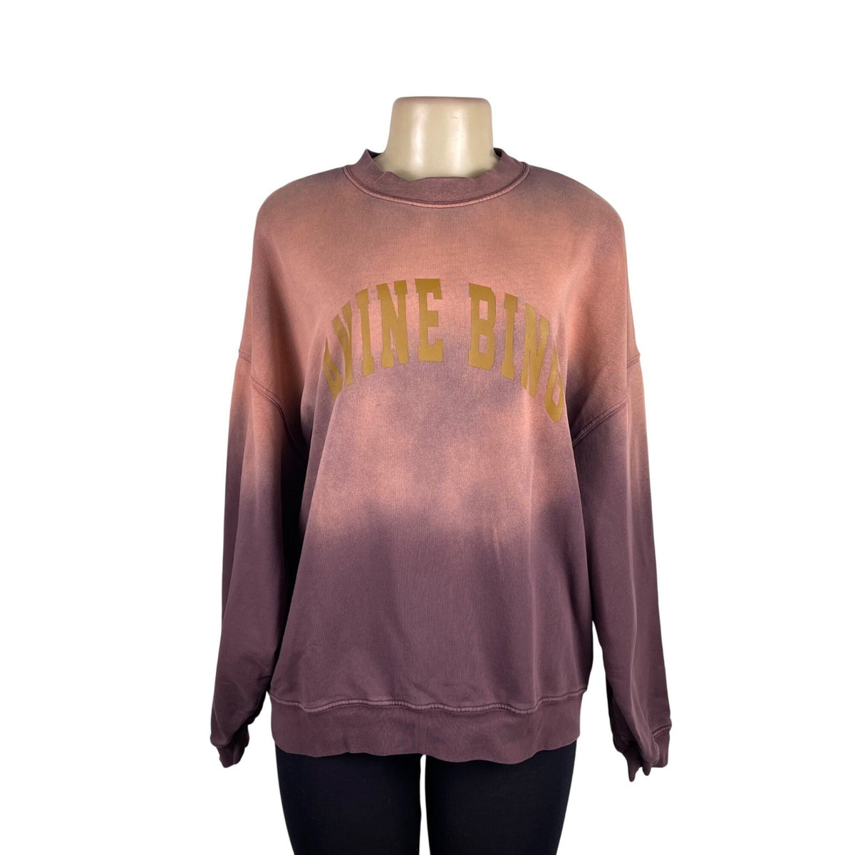 Anine Bing Womens Pink Ombre Sweatshirt Graphic Casual Crewneck Sz M