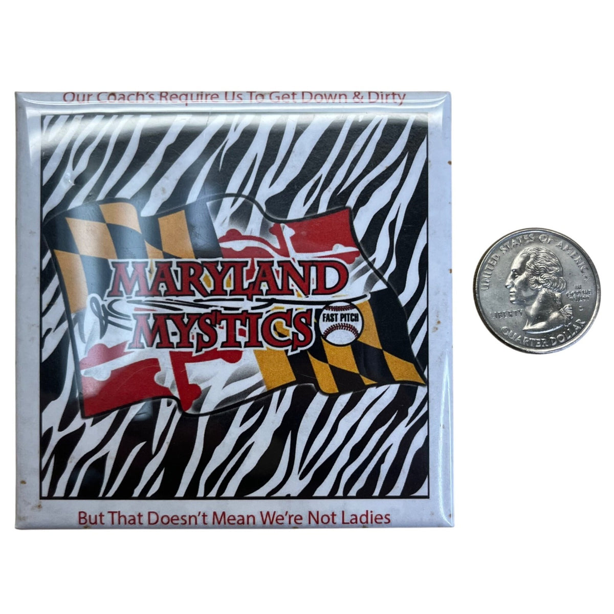 Maryland Mystics Fast Pitch Softball Zebra Print Pin Button Badge