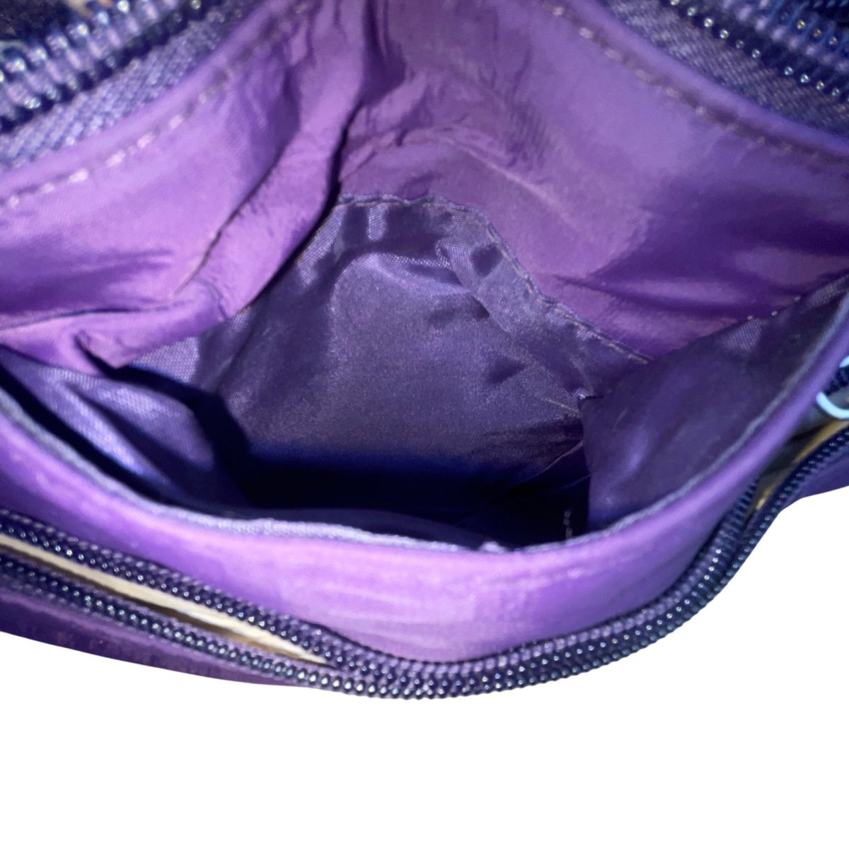 Travelon Women’s Purple Nylon Anti-Theft Multiple Pockets Crossbody Bag