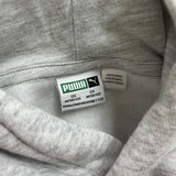 Puma Youth Gray Hoodie & Sweatpants Set Casual Wear Logo Matching Sz M(10/12)