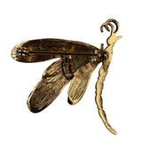 Gold Tone Womens Metal Dragonfly Brooch Jewelry