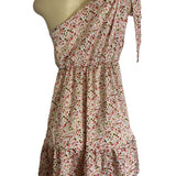 Floral Halter Neck Mini Dress With Ruffle Hem & Open Back New
