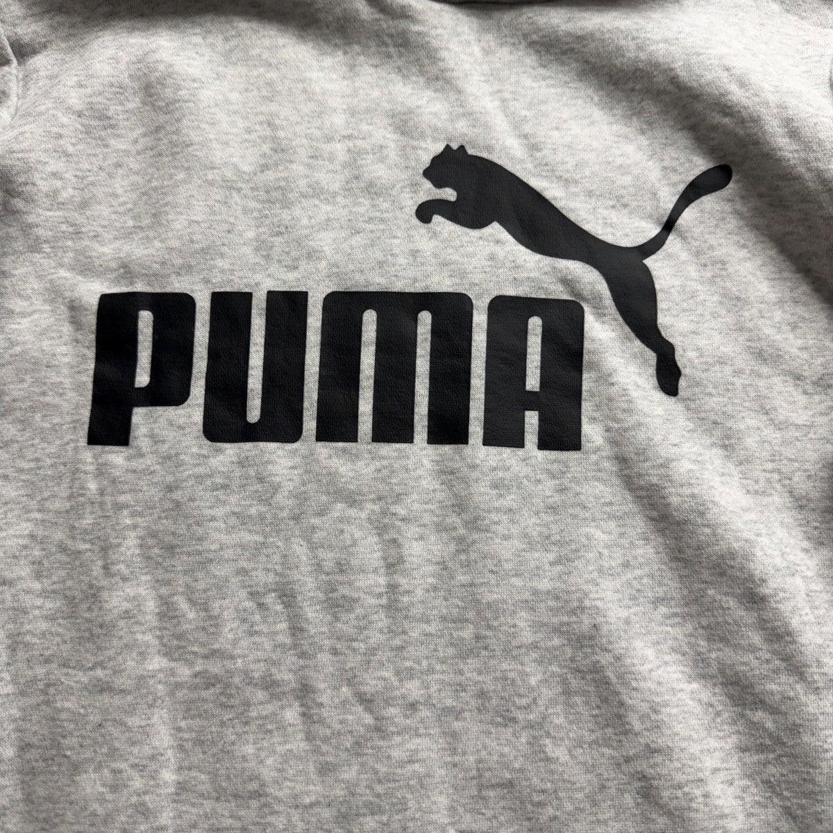 Puma Youth Gray Hoodie & Sweatpants Set Casual Wear Logo Matching Sz M(10/12)