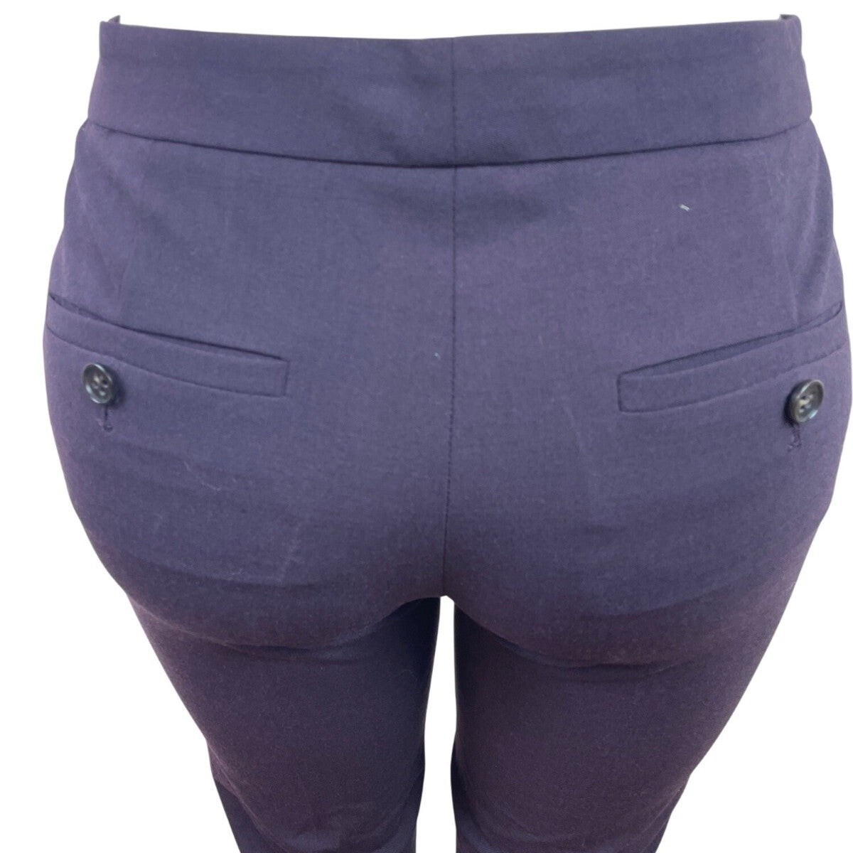 Theory Womens Purple Slim Fit Ankle Pants With Pockets & Hook Closure Size 4