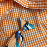 Izod Boys Orange Gingham Shirt & Striped Clip-On Tie Set Size 6