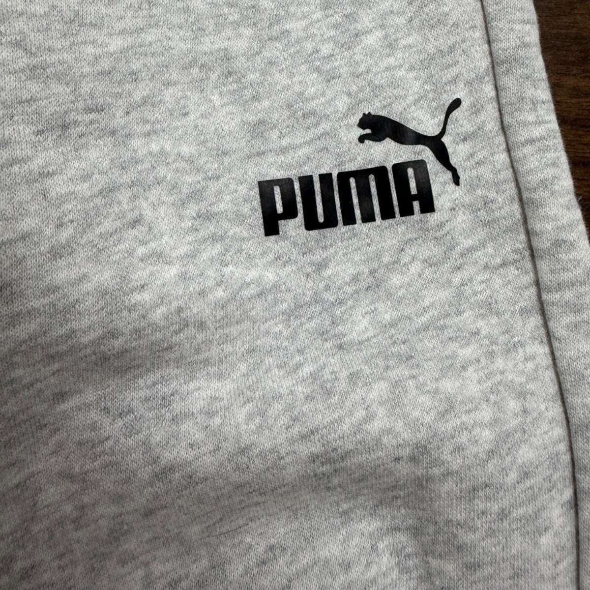 Puma Youth Gray Hoodie & Sweatpants Set Casual Wear Logo Matching Sz M(10/12)