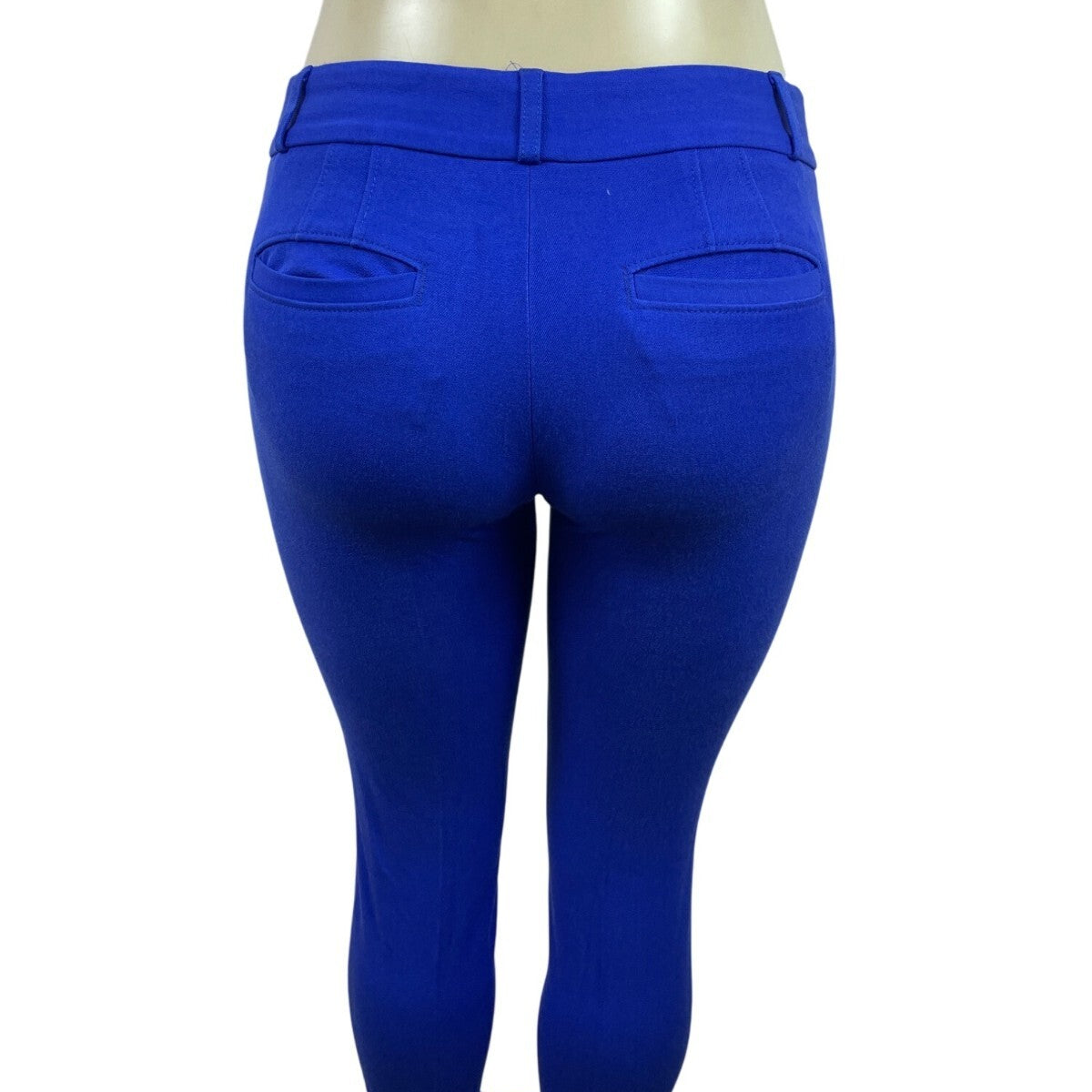 Banana Republic Womens Blue Sloan Stretch Slim Fit Skinny Pants Sz 0