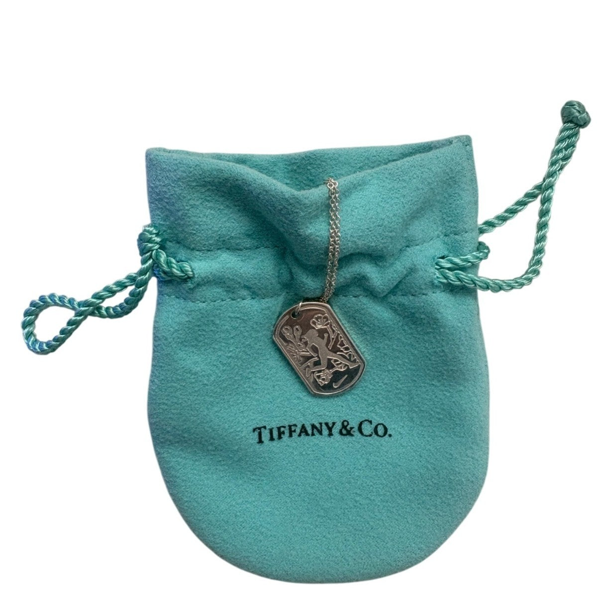Tiffany & Co Womens Silver Tone Sterling Pendant Necklace Nike NWM 2013 Running
