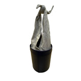 Staud Women’s Black & Green Leather With Knotted Fabric Handle Bucket Bag