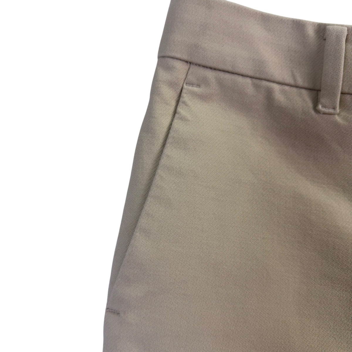 Ann Taylor Womens Beige  Petite Dress Pants Classic Fit Size 4P