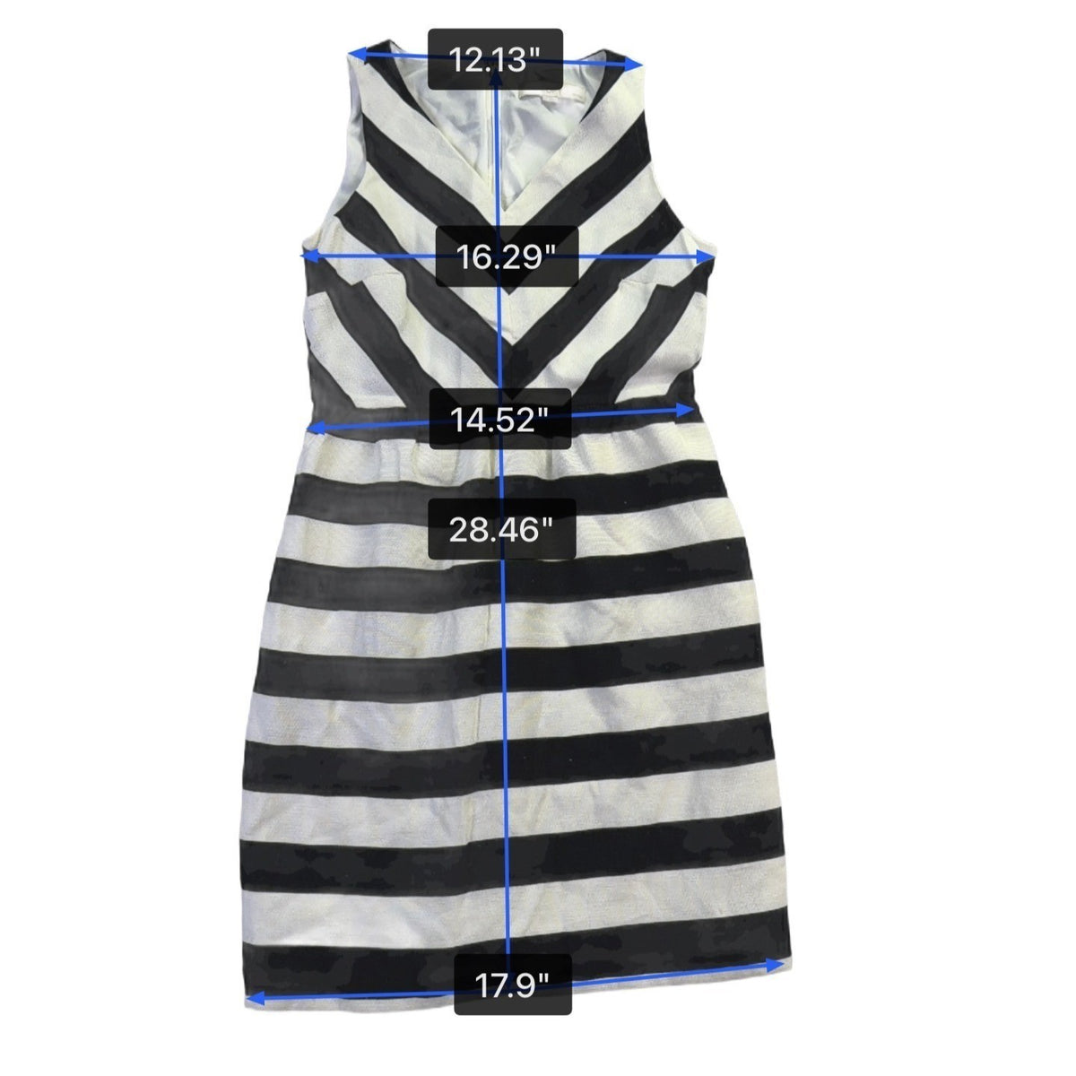 Ann Taylor Loft Womens Black & White Chevron Stripe Fit & Flare Dress Size 6P