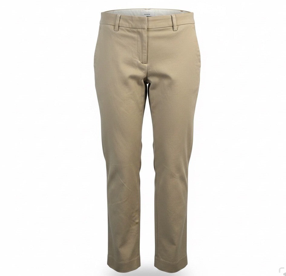 Ann Taylor Womens Beige  Petite Dress Pants Classic Fit Size 4P