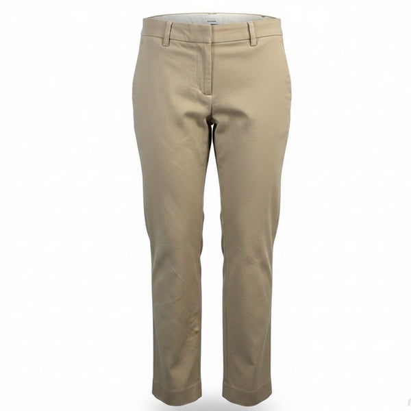Ann Taylor Womens Beige  Petite Dress Pants Classic Fit Size 4P