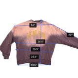 Anine Bing Womens Pink Ombre Sweatshirt Graphic Casual Crewneck Sz M
