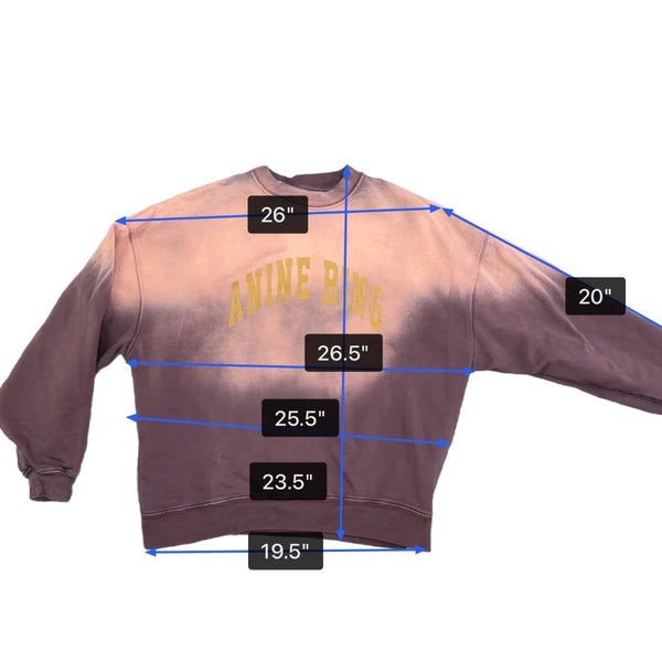 Anine Bing Womens Pink Ombre Sweatshirt Graphic Casual Crewneck Sz M