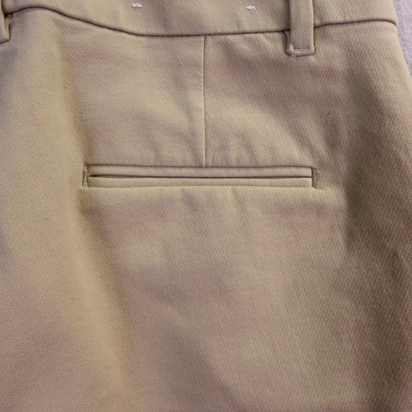 Ann Taylor Womens Beige  Petite Dress Pants Classic Fit Size 4P