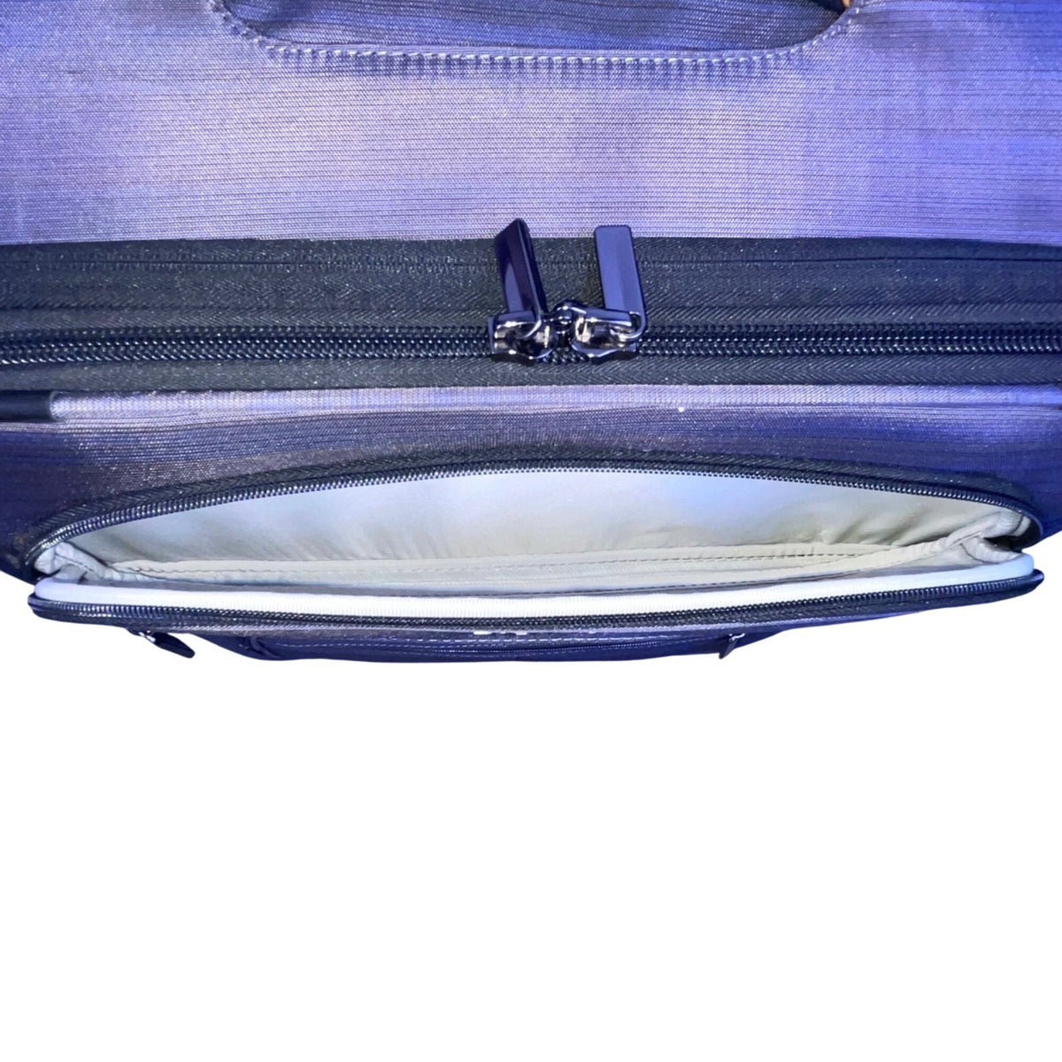 Ricardo Men’s Gray & Blue Blend Nylon 4-Wheel Spinner Expandable Travel Luggage
