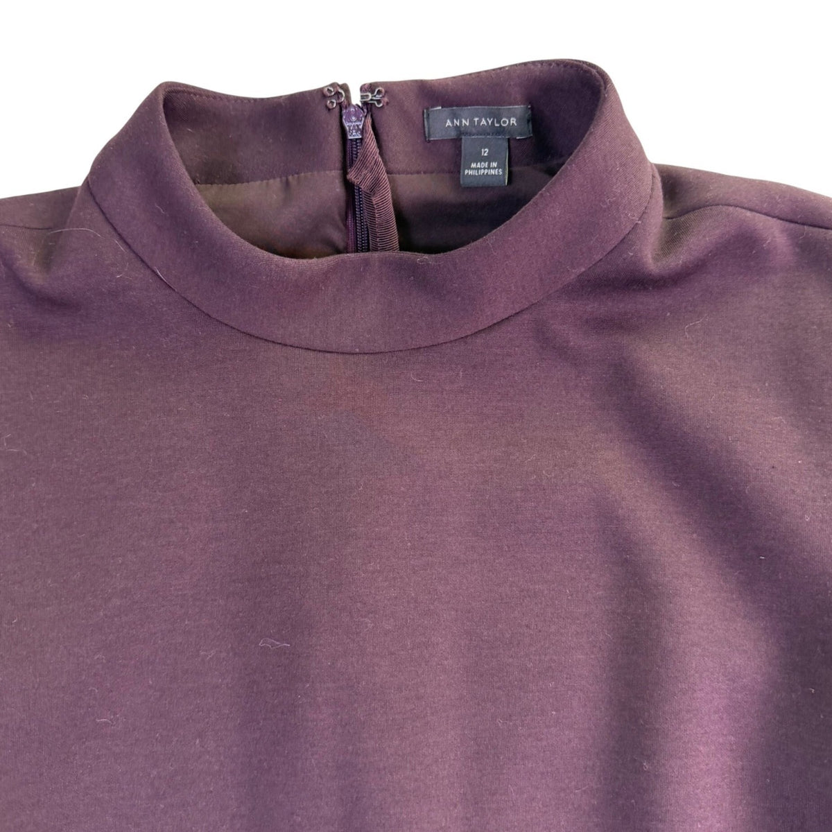 Ann Taylor Womens Purple Sleeveless Sheath Dress  Versatile Chic Size 12