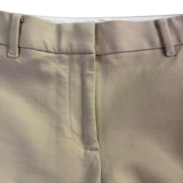Ann Taylor Womens Beige  Petite Dress Pants Classic Fit Size 4P