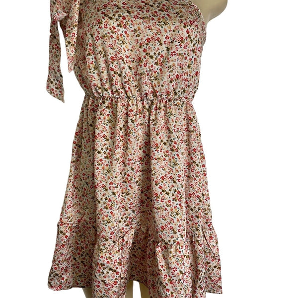 Floral Halter Neck Mini Dress With Ruffle Hem & Open Back New