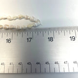 Handmade Made in Phillipines Sea Shell Boho Necklace - 34in