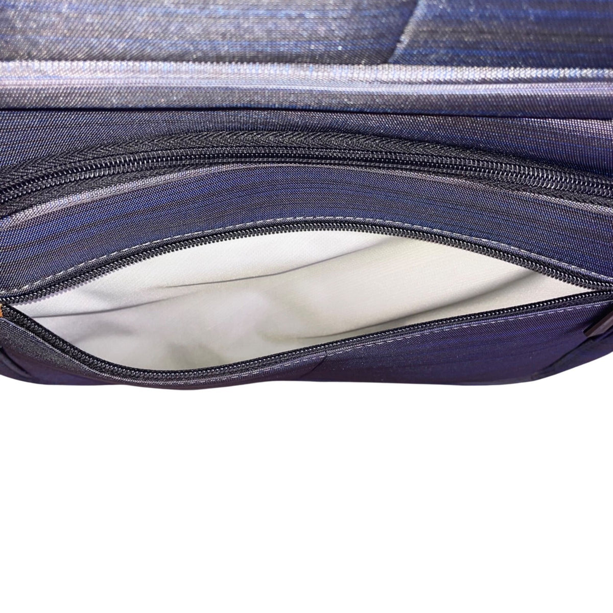 Ricardo Men’s Gray & Blue Blend Nylon 4-Wheel Spinner Expandable Travel Luggage