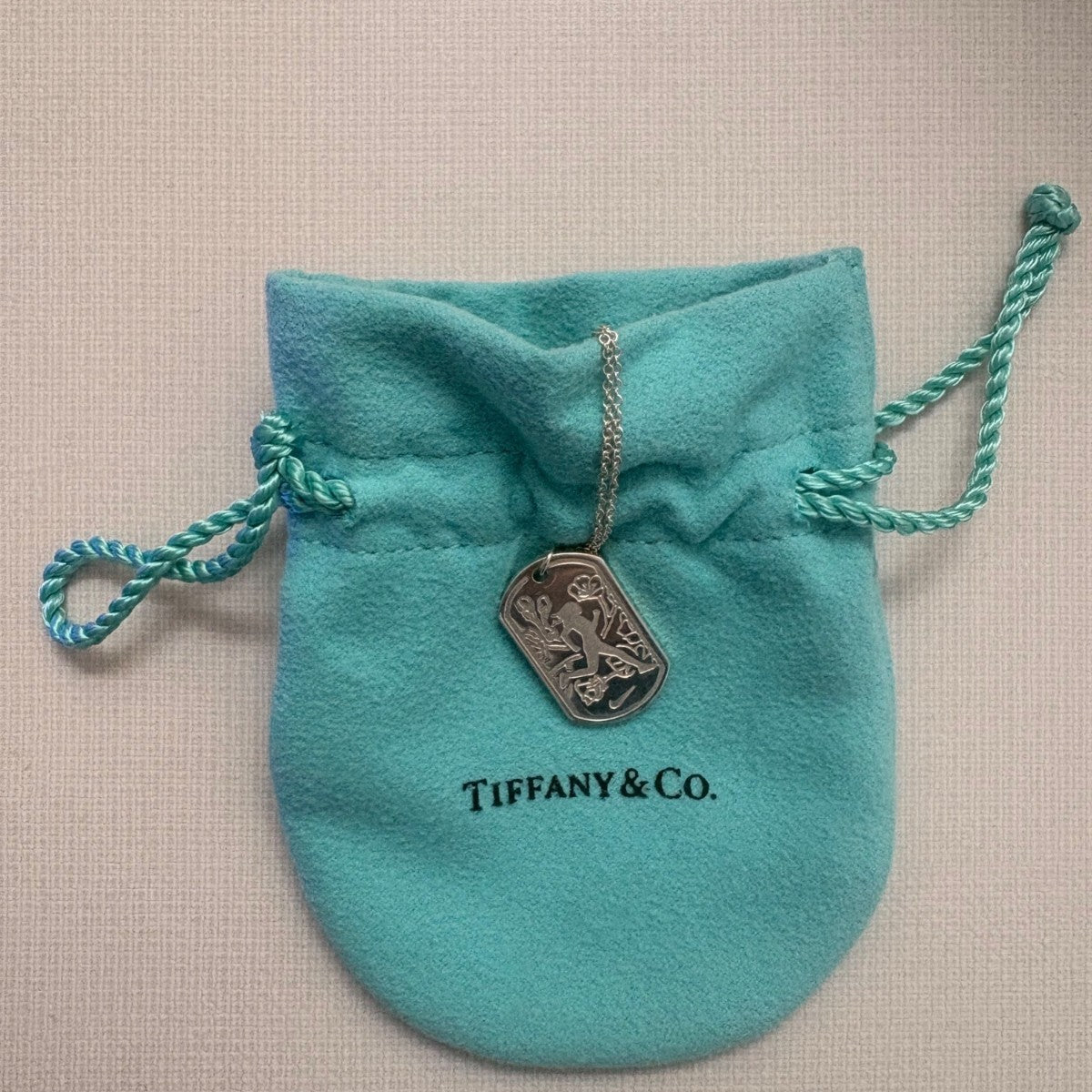 Tiffany & Co. Women’s Sterling Silver Nike Necklace 2014 Washington DC  Pendant