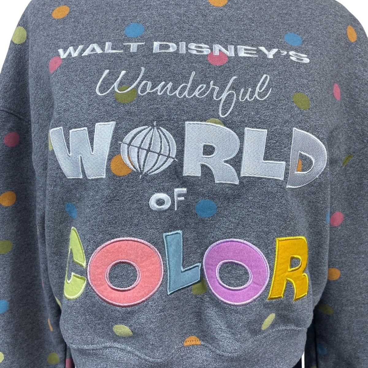 Disney Women's Gray 100 Word of Color Sweater Sz S