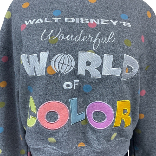 Disney Women's Gray 100 Word of Color Sweater Sz S