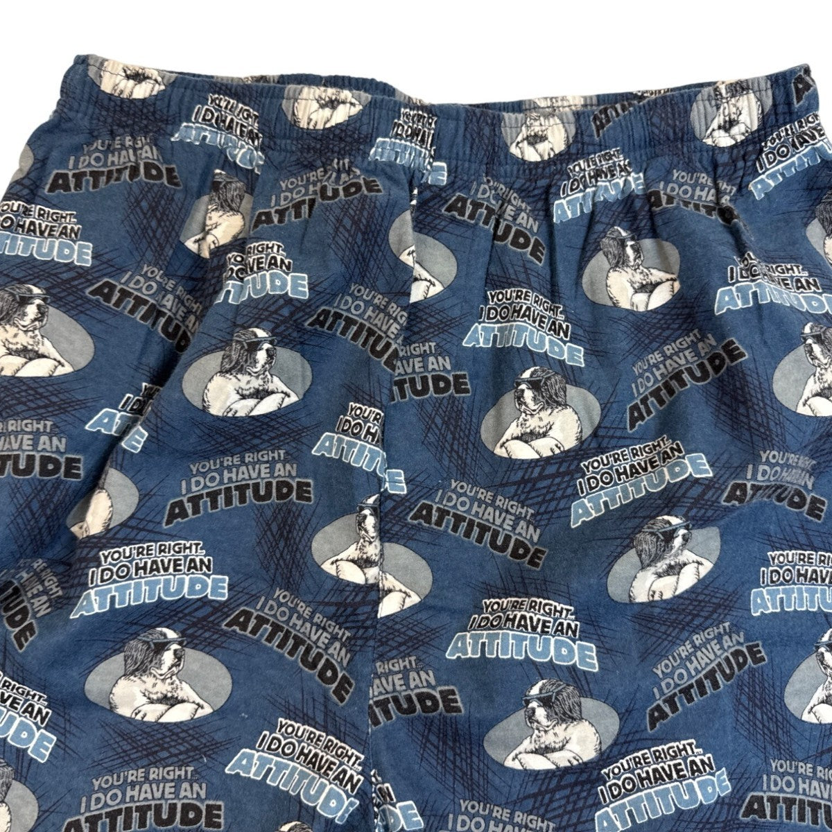 Dog Print Lounge Pant "Youre Right I Do Have An Attitude" Blue White Sz XL - New