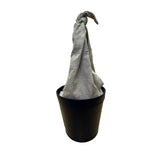 Staud Women’s Black & Green Leather With Knotted Fabric Handle Bucket Bag