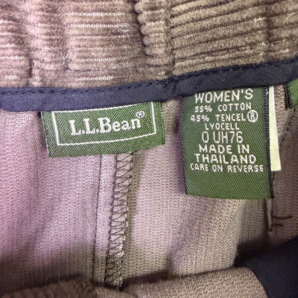 L.L.Bean Womens Brown Cotton & Tencel Corduroy A-Line Maxi Skirt Size 6 R