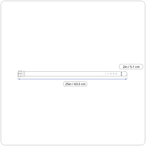 Elastic Belt Gold Accents Leather Trim Adjustable Beige & Brown Colorway S/M