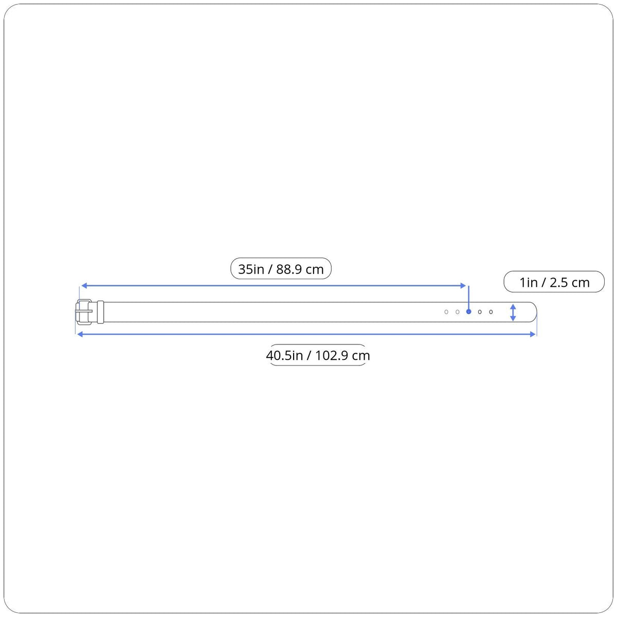 Fossil Womens Brown Genuine Leather Belt With Buckle Gold Accents Size M