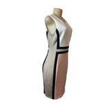 Calvin Klein White and Pink Colorblock Sleeveless Sheath Bodycon Dress Sz 10