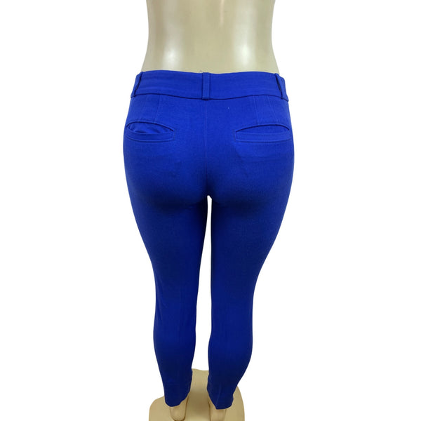 Banana Republic Womens Blue Sloan Stretch Slim Fit Skinny Pants Sz 0
