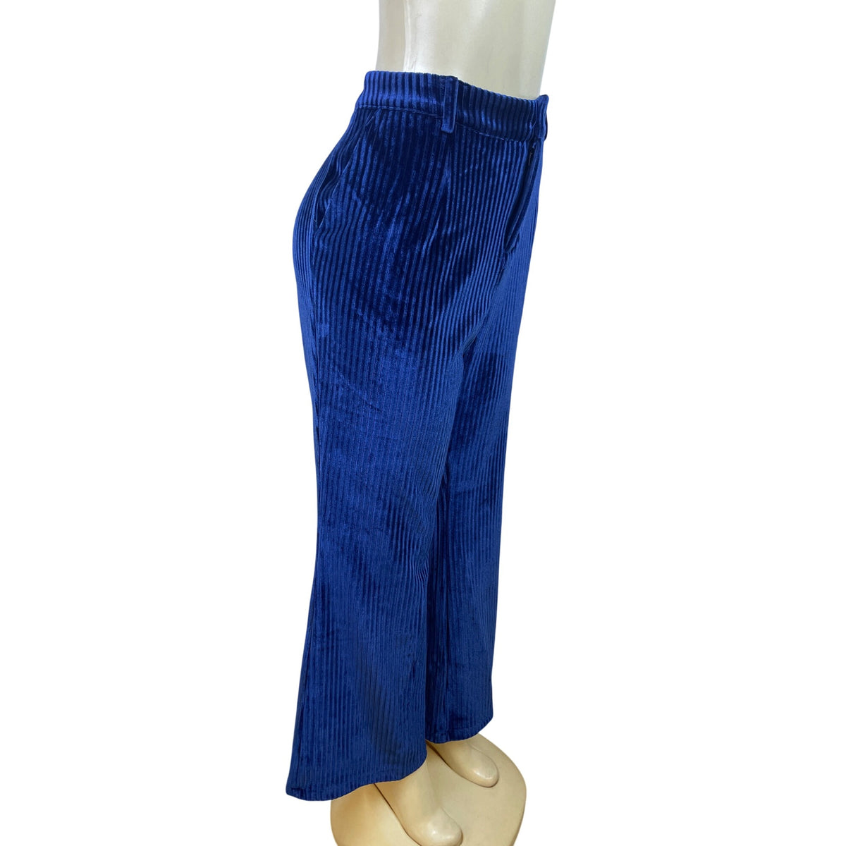 Lisueyne Collection Blue Velvet Women’s 2-Piece Suit Blazer & Pants Sz XL