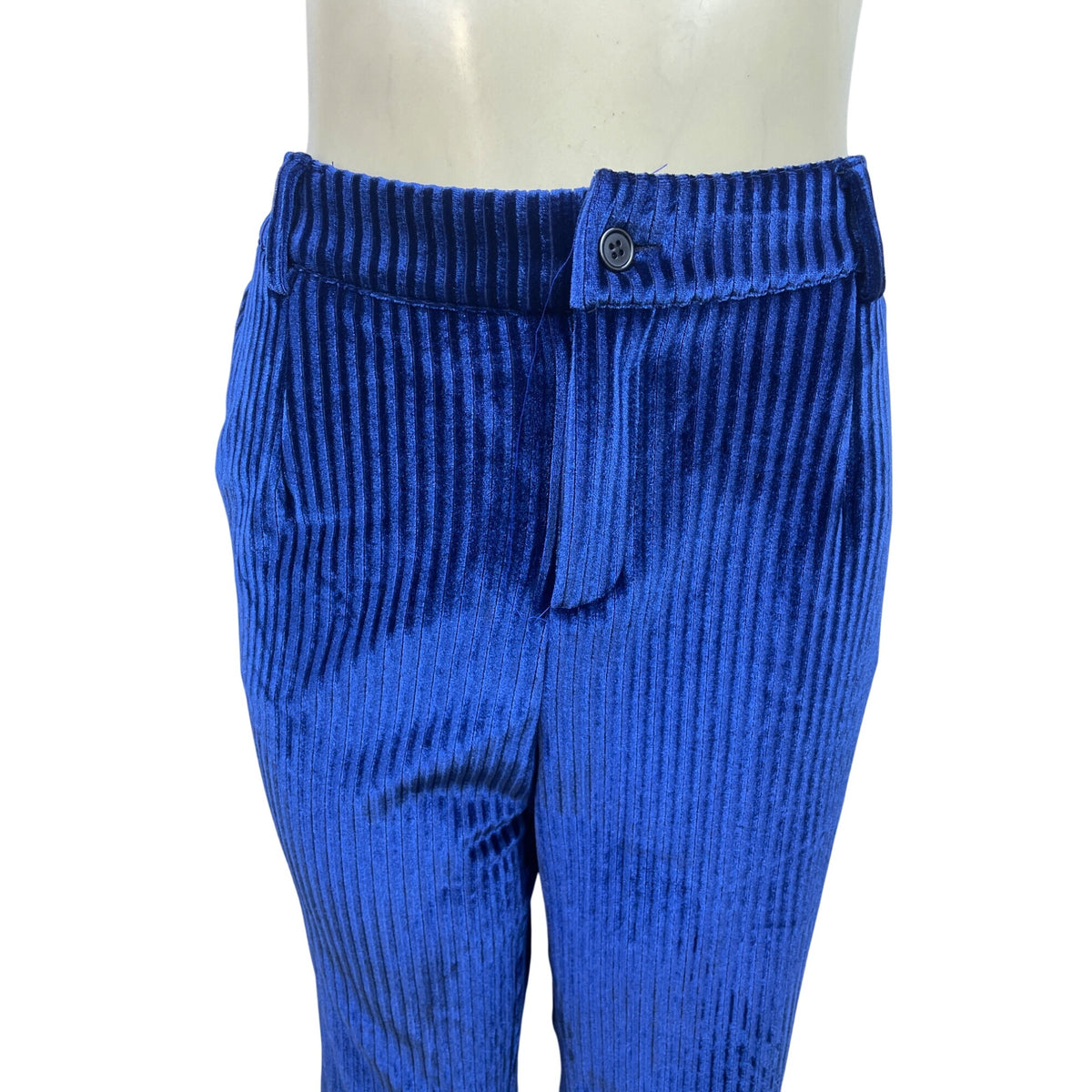 Lisueyne Collection Blue Velvet Women’s 2-Piece Suit Blazer & Pants Sz XL