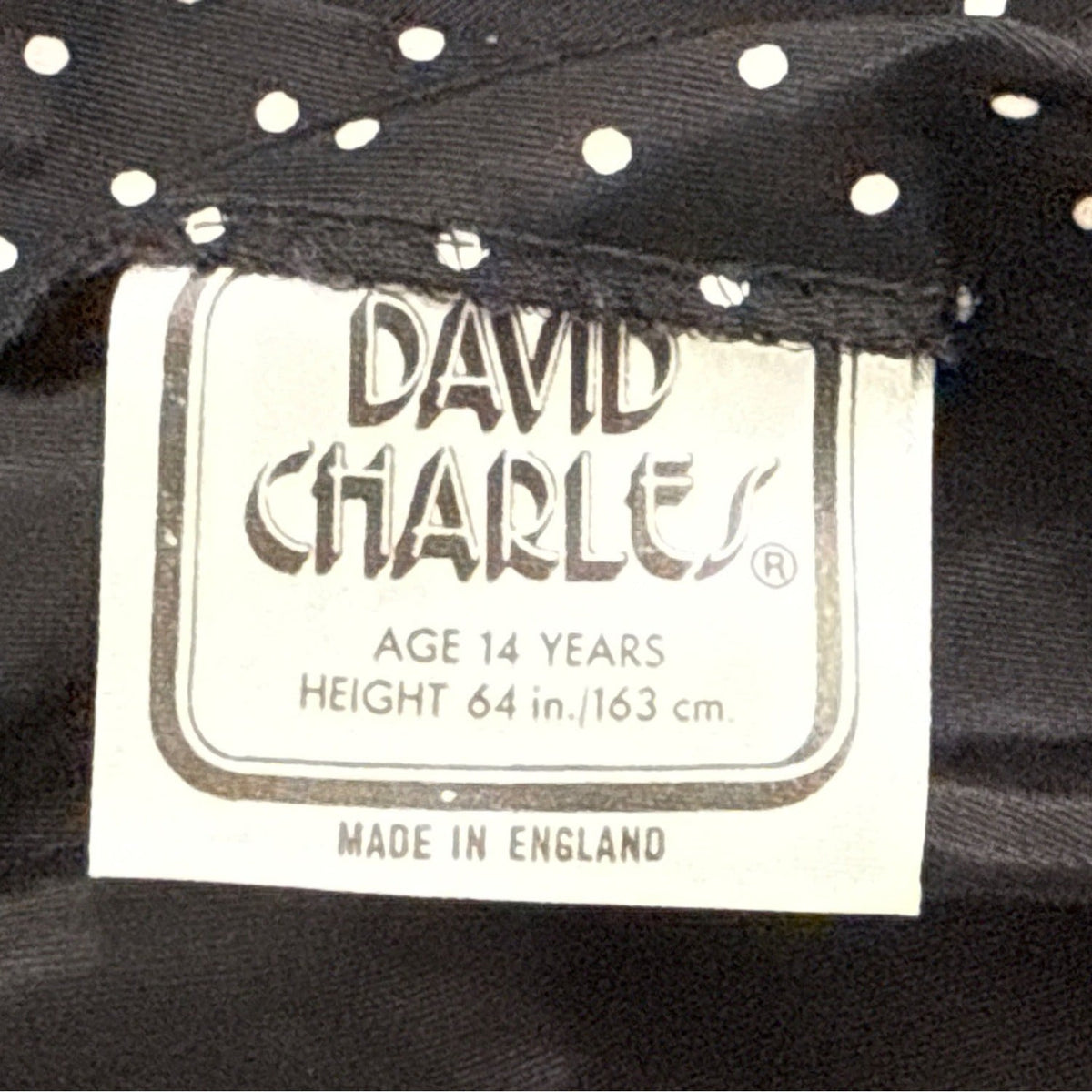 Vintage David Charles Black Polka Dot Dress With Ruffled Neckline Size S/14 yrs