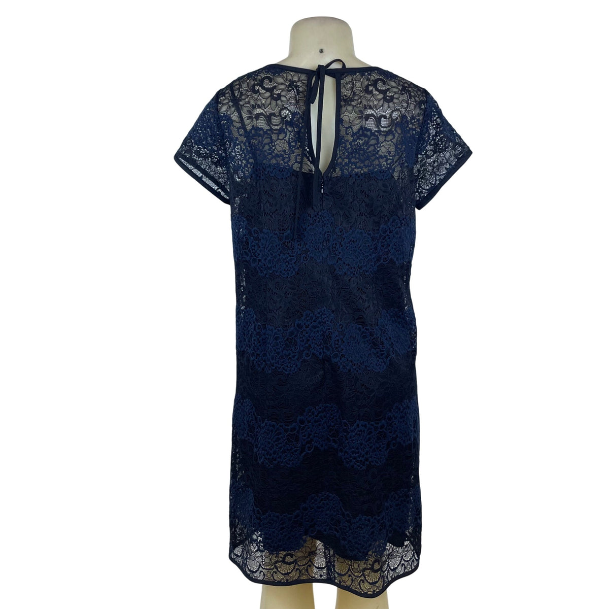 Ann Taylor Loft Womens Navy Lace Overlay Short Sleeve Shift Dress Size 10T