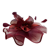 Vintage Women's Red Mesh Hair Clip Fascinator With Feather Accents Lightweight