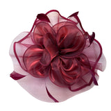 Vintage Women's Red Mesh Hair Clip Fascinator With Feather Accents Lightweight