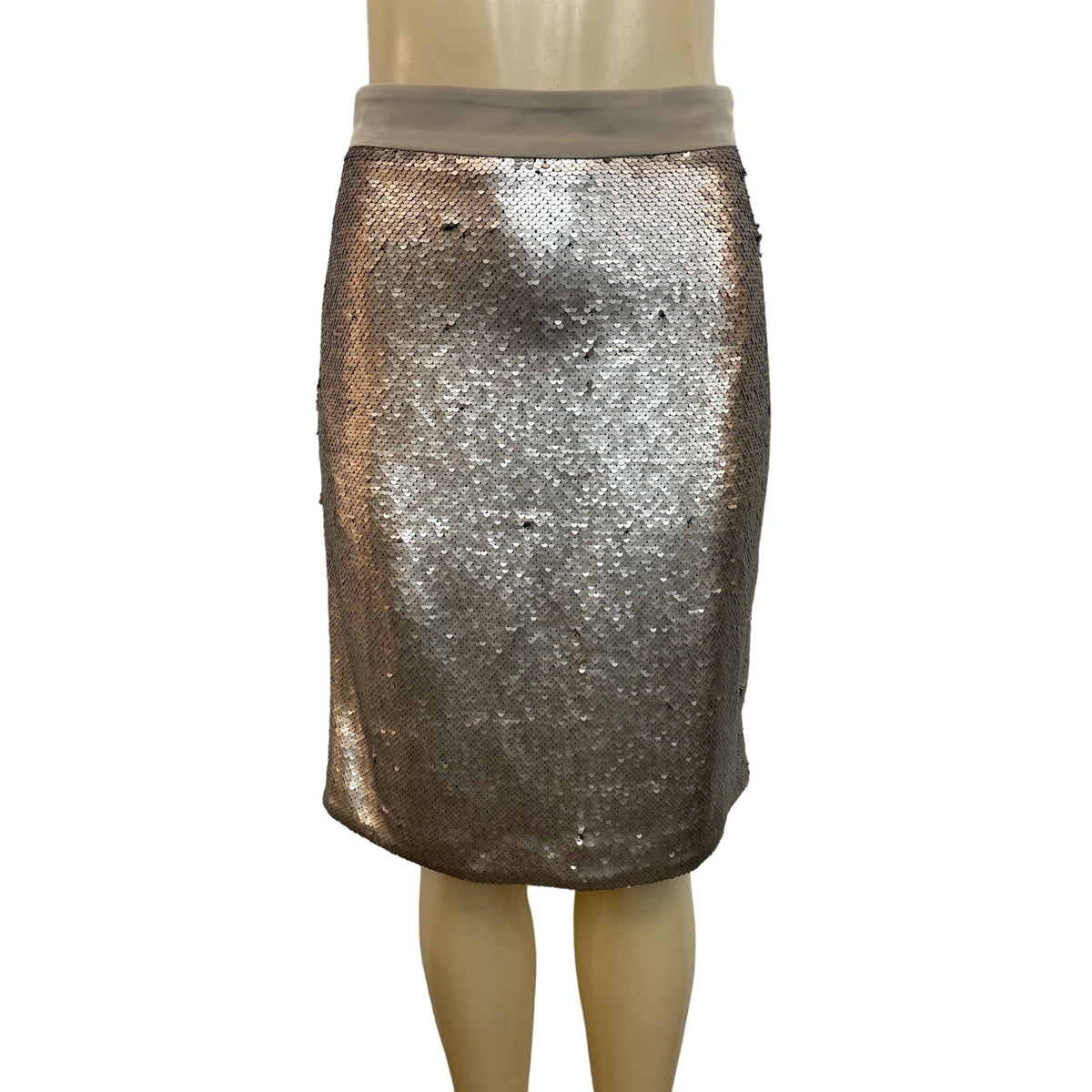 Maison Jules Women's Gray Sequin High Waist Zip Up Skirt Sz 8