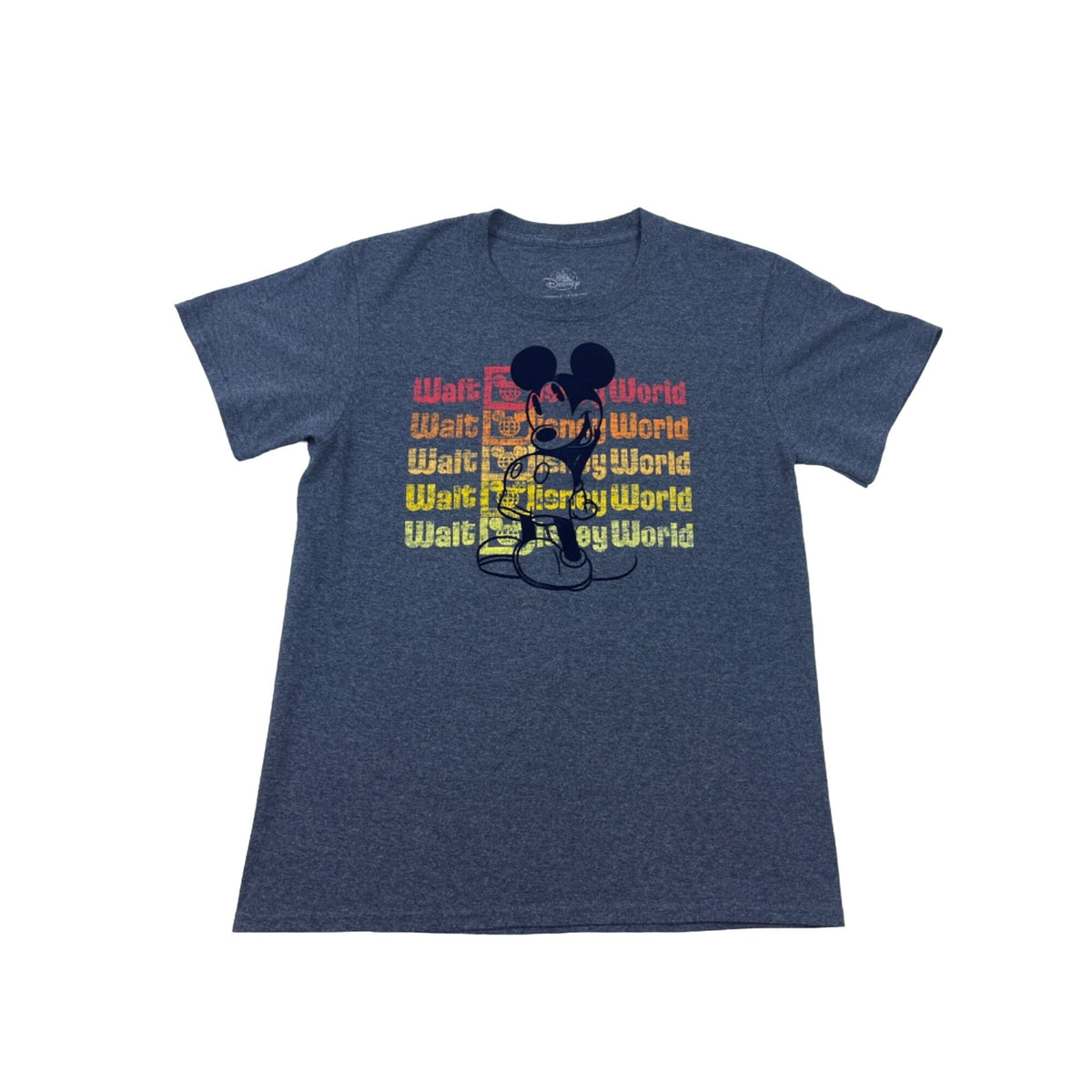 Disney Youth Boy's Blue Walt Disney World T-Shirt Sz XL