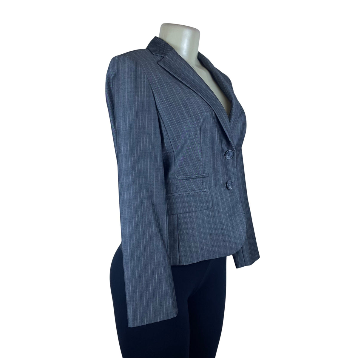 Ann Taylor Loft Womens Gray Pinstripe Rayon & Wool Blazer Two Button Size 4P
