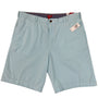 Izod Mens Classic Fit Striped Stretch Shorts 10.5" Inseam Aqua Blue Size 40